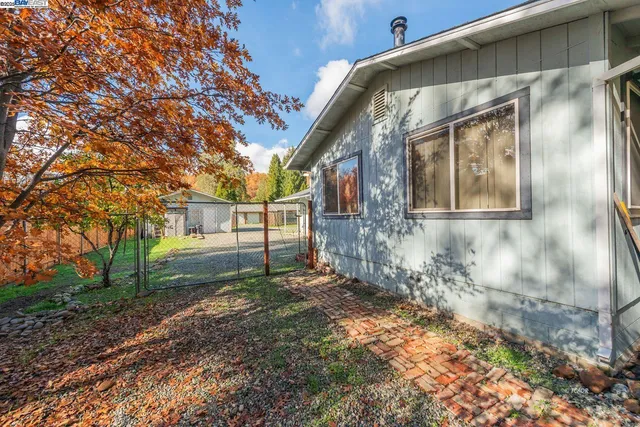 a view of a yard with trees