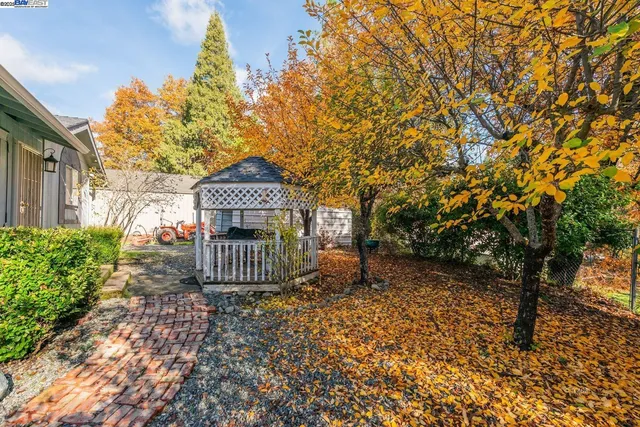 a view of a park with large trees