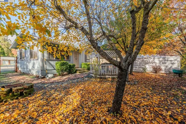a view of a outdoor space with a tree
