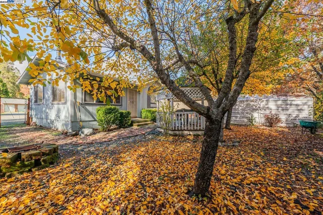 a view of a outdoor space with a tree