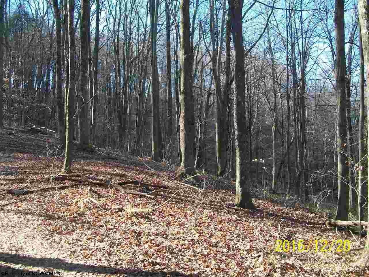 0 Salt Lick Road Montrose, WV 26283 - Photo 8 of 20 Gallery Image 8