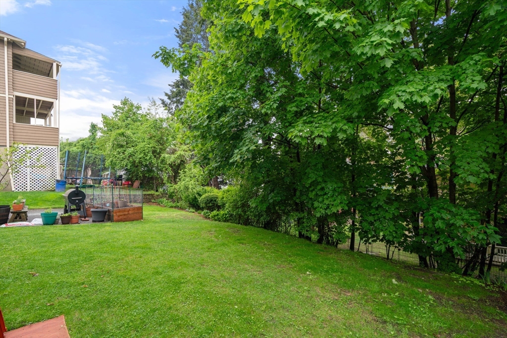 30 Gilbert Road, Unit 30 Belmont, MA 02478 - Photo 20 of 21 Gallery Image 20