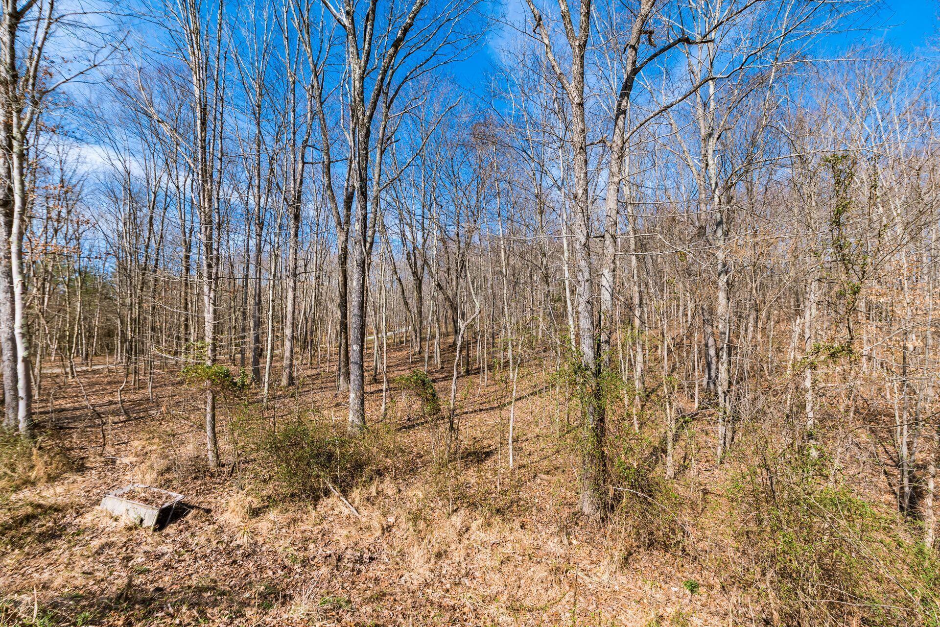 19830 Fierce Ridge Road Glouster, OH 45732 - Photo 45 of 67 043_louster OH 45732 USA100