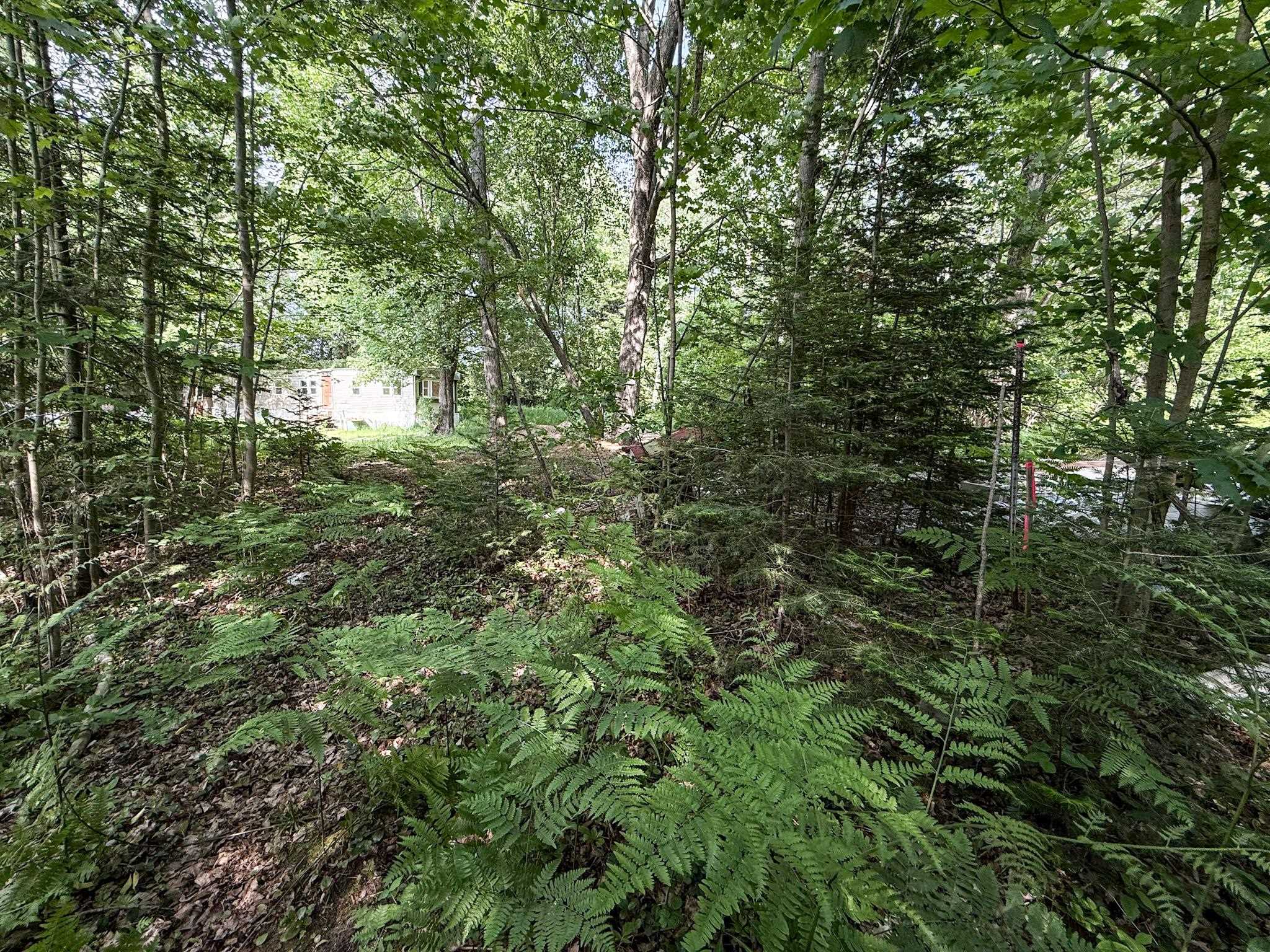 7671 South 27 Road Cadillac, MI 49601 - Photo 11 of 12