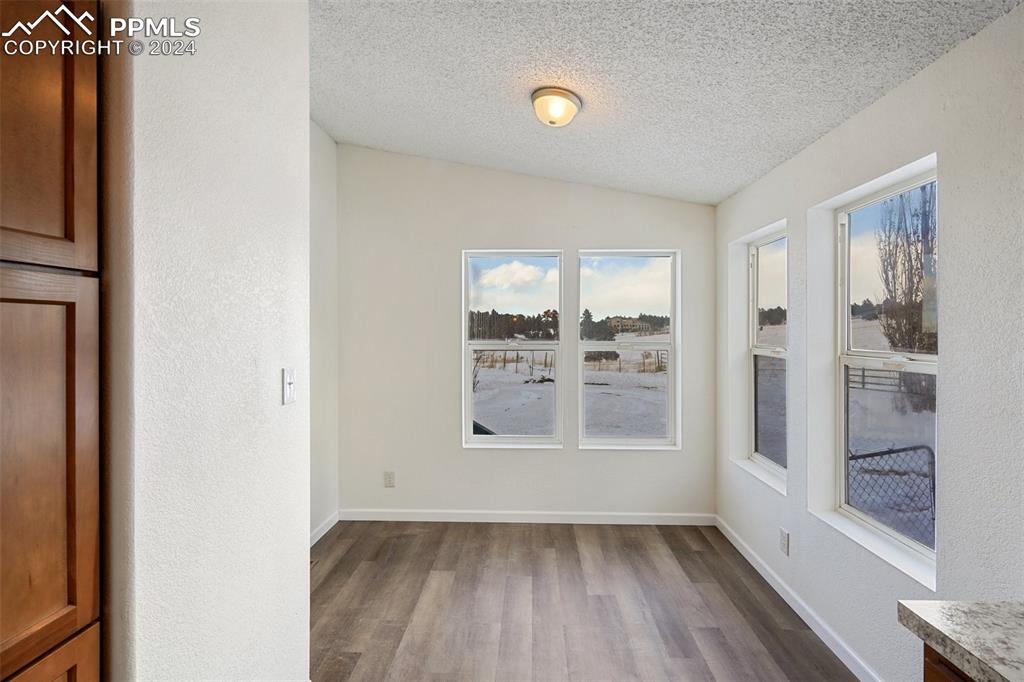 16625 Roller Coaster Road Colorado Springs, CO 80921 - Photo 24 of 44 wooden floor in an empty room with a window