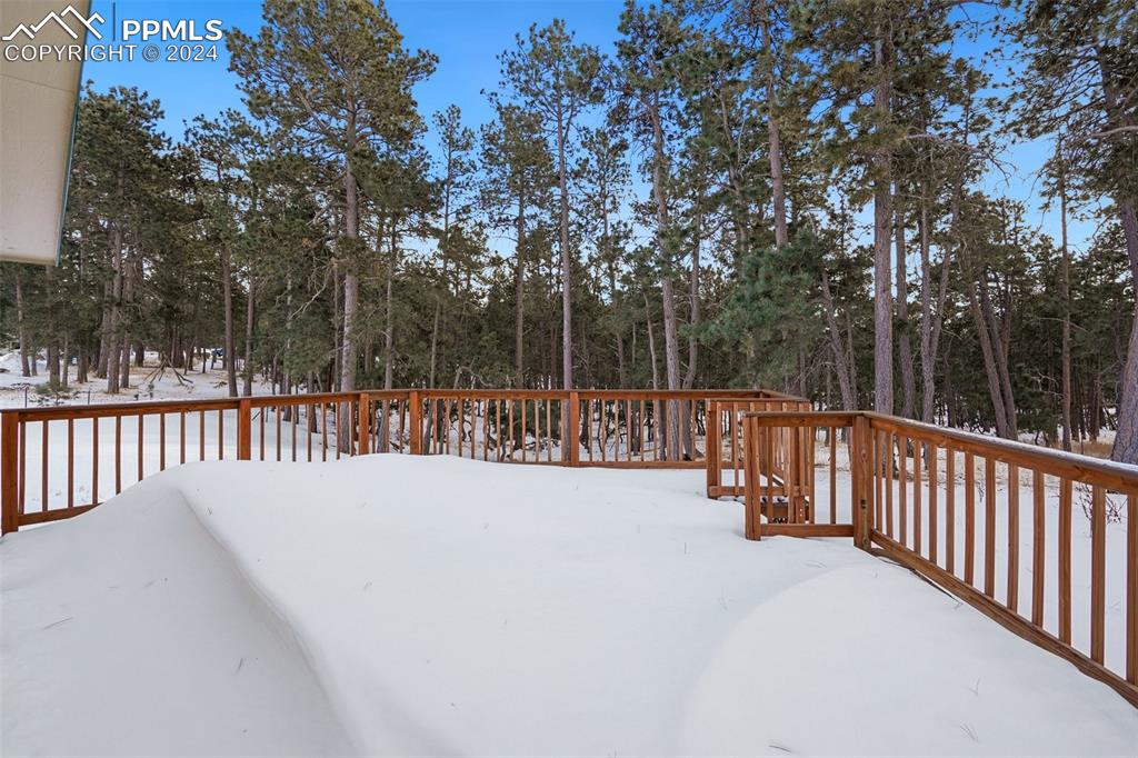 16625 Roller Coaster Road Colorado Springs, CO 80921 - Photo 31 of 44