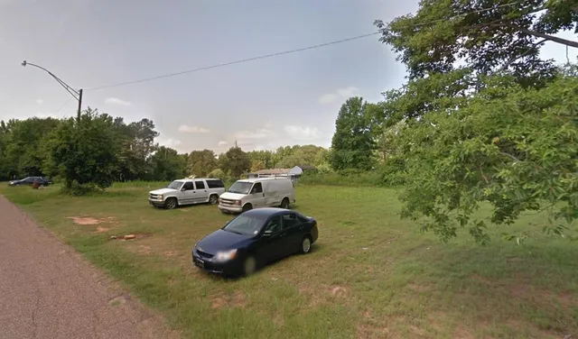 a view of a yard with plants