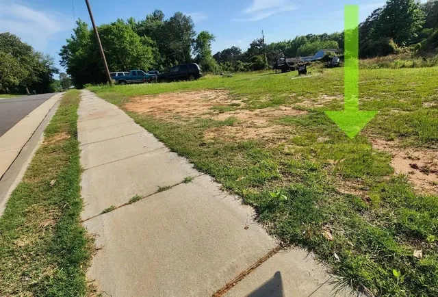 a view of a yard with palm trees