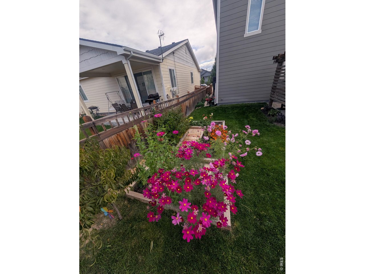 6331 Independence Street Frederick, CO 80516 - Photo 39 of 39