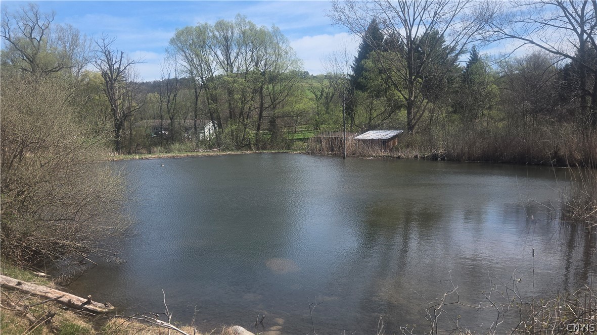 3599 Watervale Road Pompey, NY 13104 - Photo 27 of 48