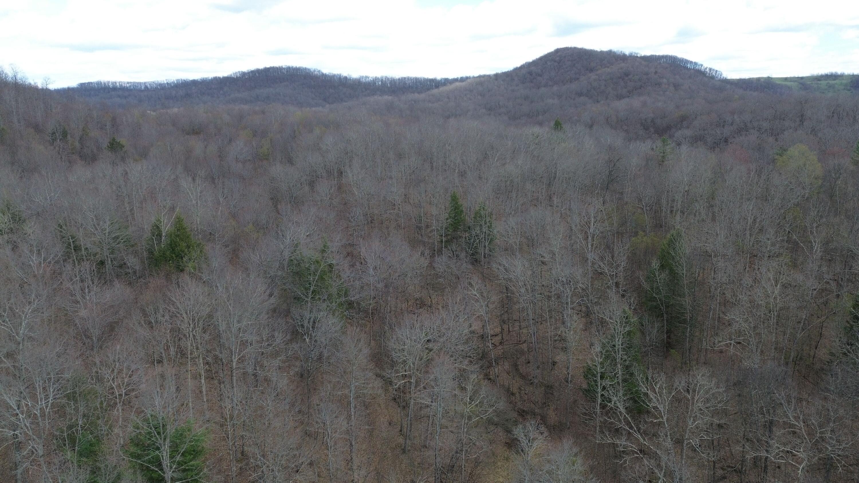 4042 Tioga Road Tioga, WV 26691 - Photo 5 of 7 image 802719