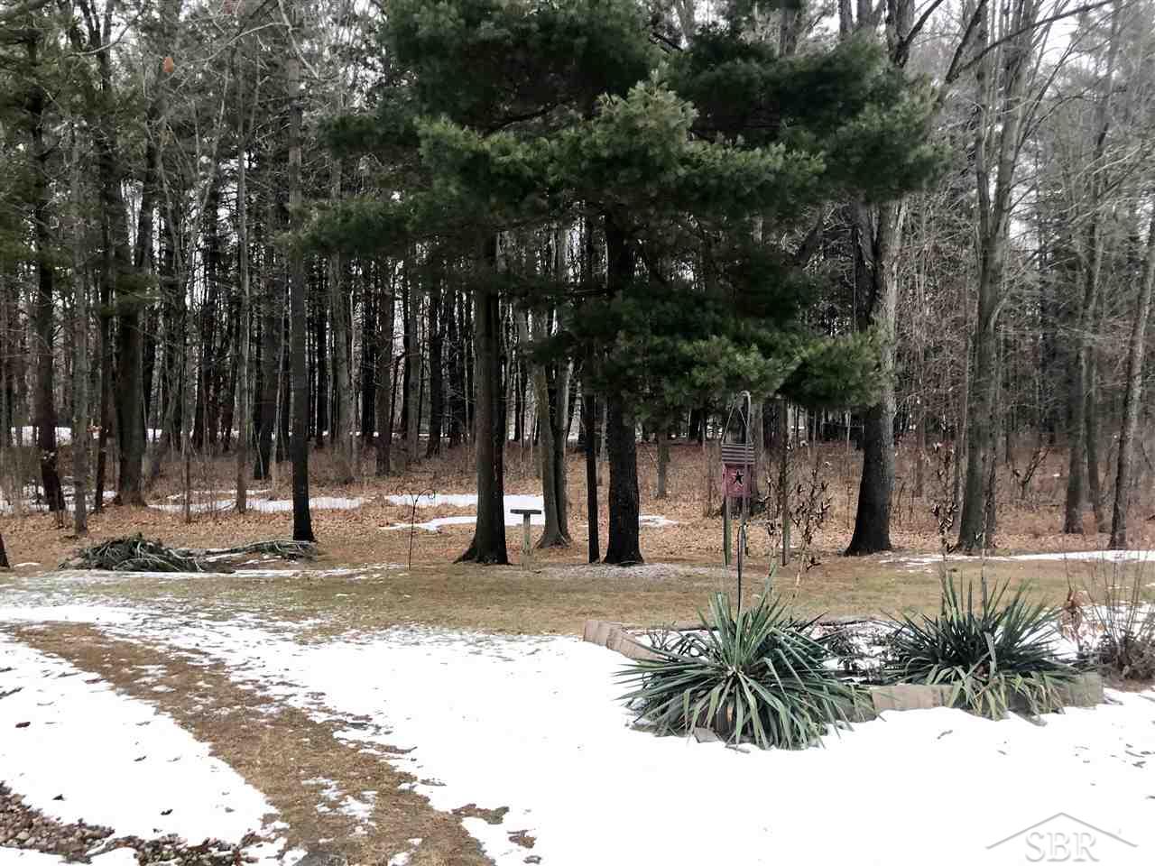 4670 Waltan Road Vassar, MI 48768 - Photo 23 of 28 50032930-22.JPG