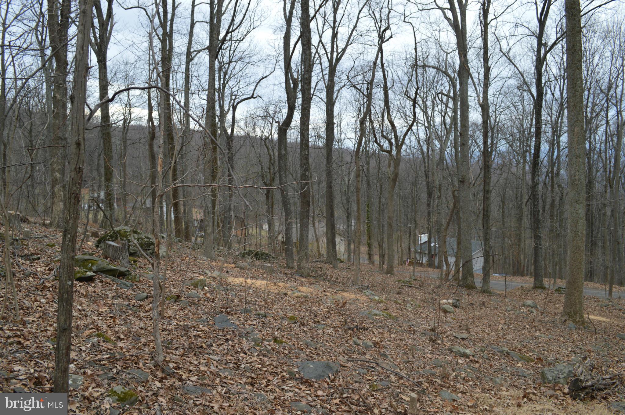 0 Freeze Road Linden, VA 22642 - Photo 2 of 2 View