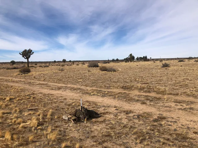 $13,900 | 0 South E 218th Street, Lancaster, CA 93535