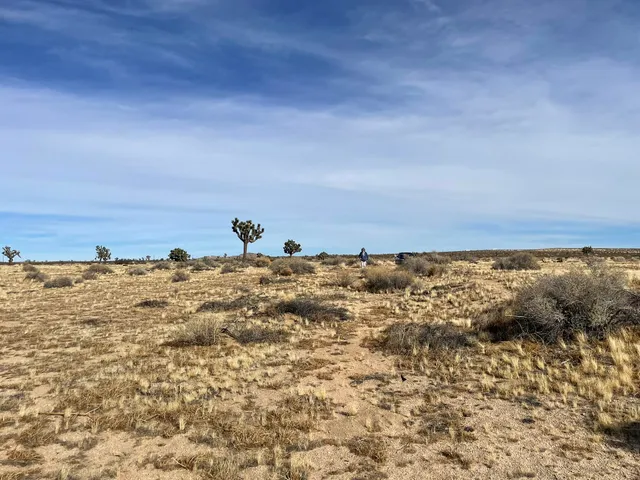 $13,900 | 0 South E 218th Street, Lancaster, CA 93535