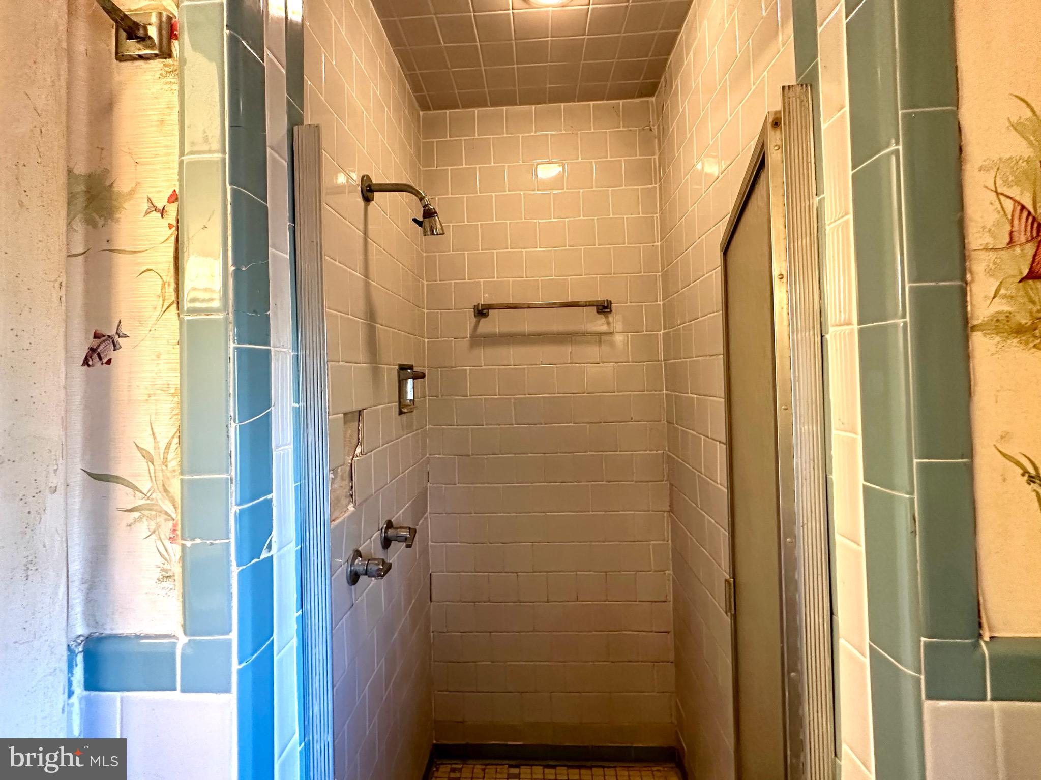 4405 Meadowcliff Road Glen Arm, MD 21057 - Photo 26 of 54 Primary shower