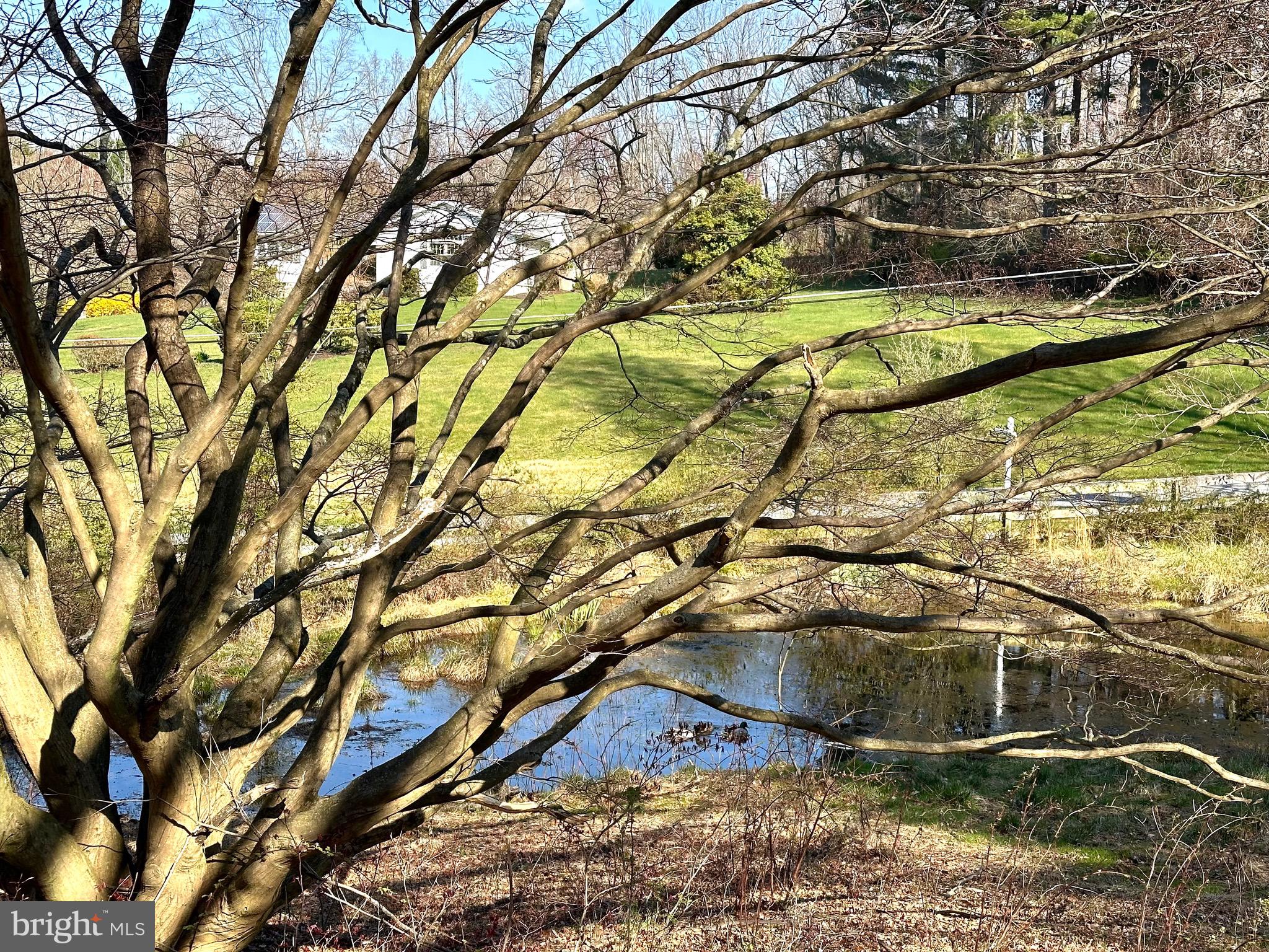4405 Meadowcliff Road Glen Arm, MD 21057 - Photo 3 of 54 Pond in front of home!