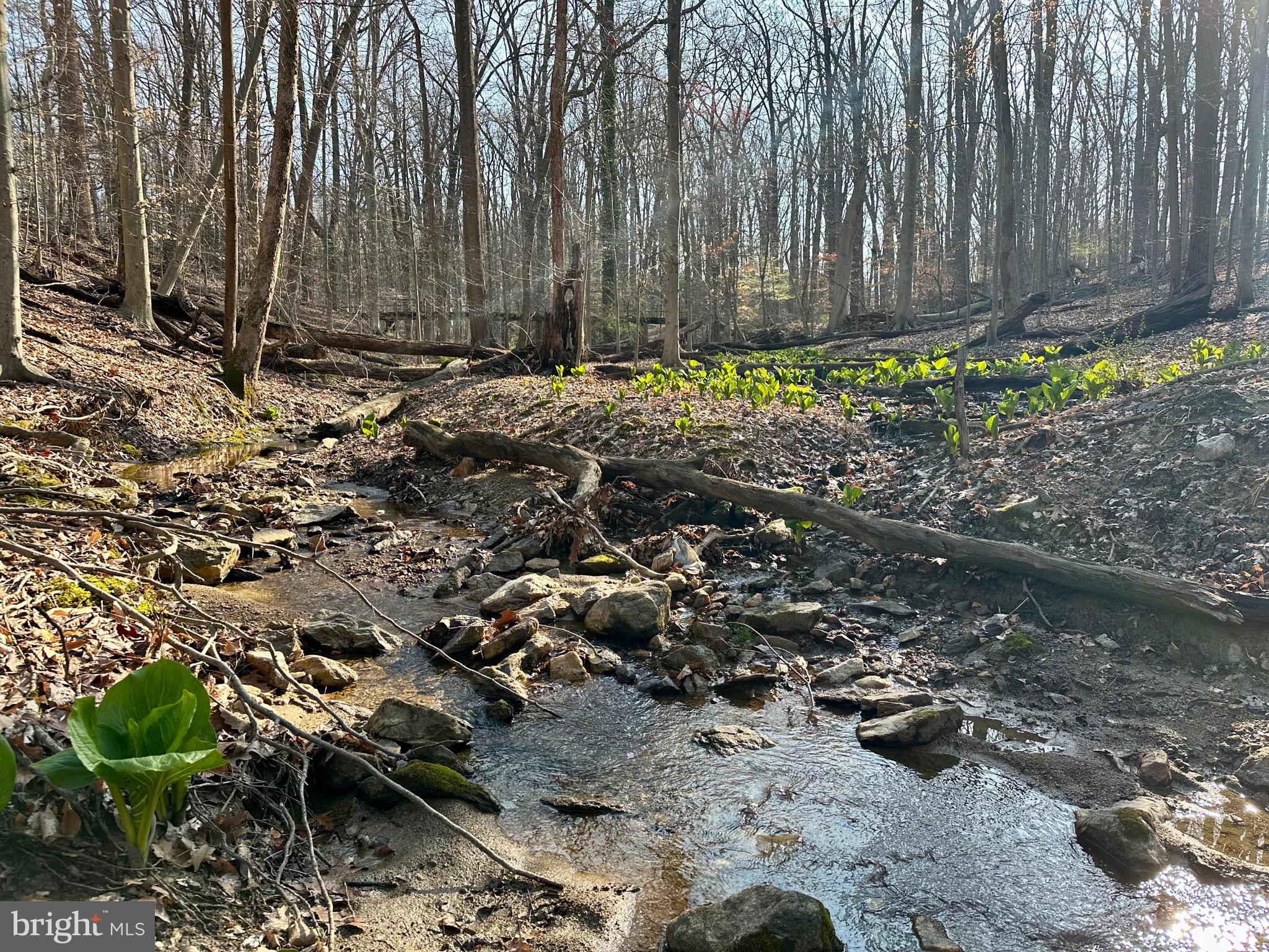 4405 Meadowcliff Road Glen Arm, MD 21057 - Photo 4 of 54 Stream behind home!