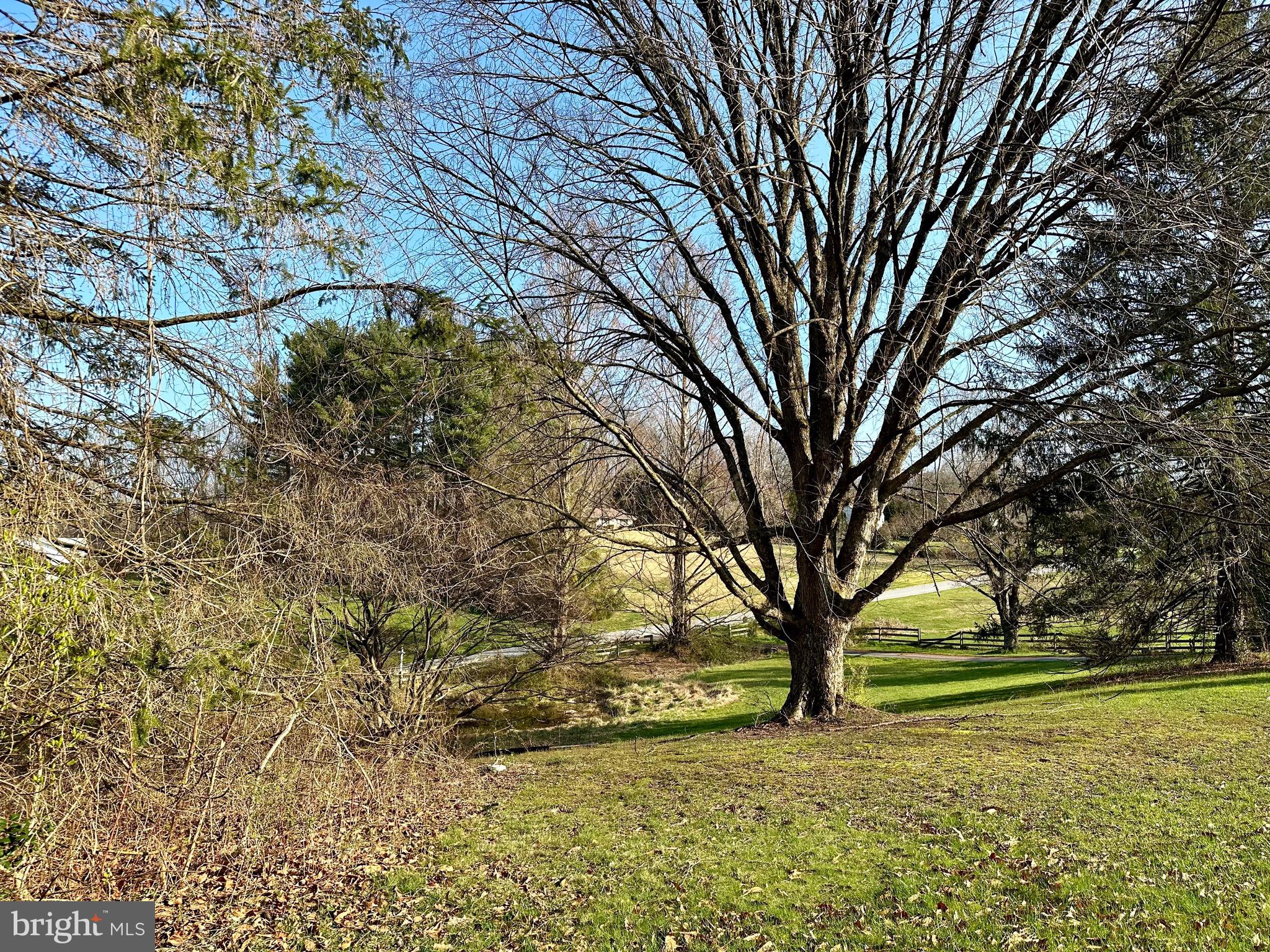 4405 Meadowcliff Road Glen Arm, MD 21057 - Photo 46 of 54 Front Lawn