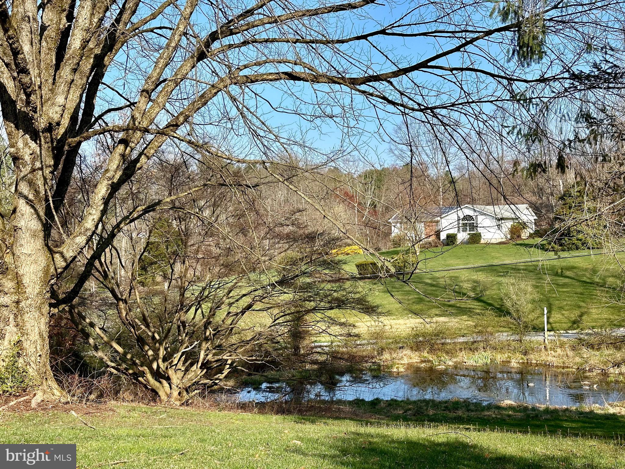 4405 Meadowcliff Road Glen Arm, MD 21057 - Photo 47 of 54 Front lawn