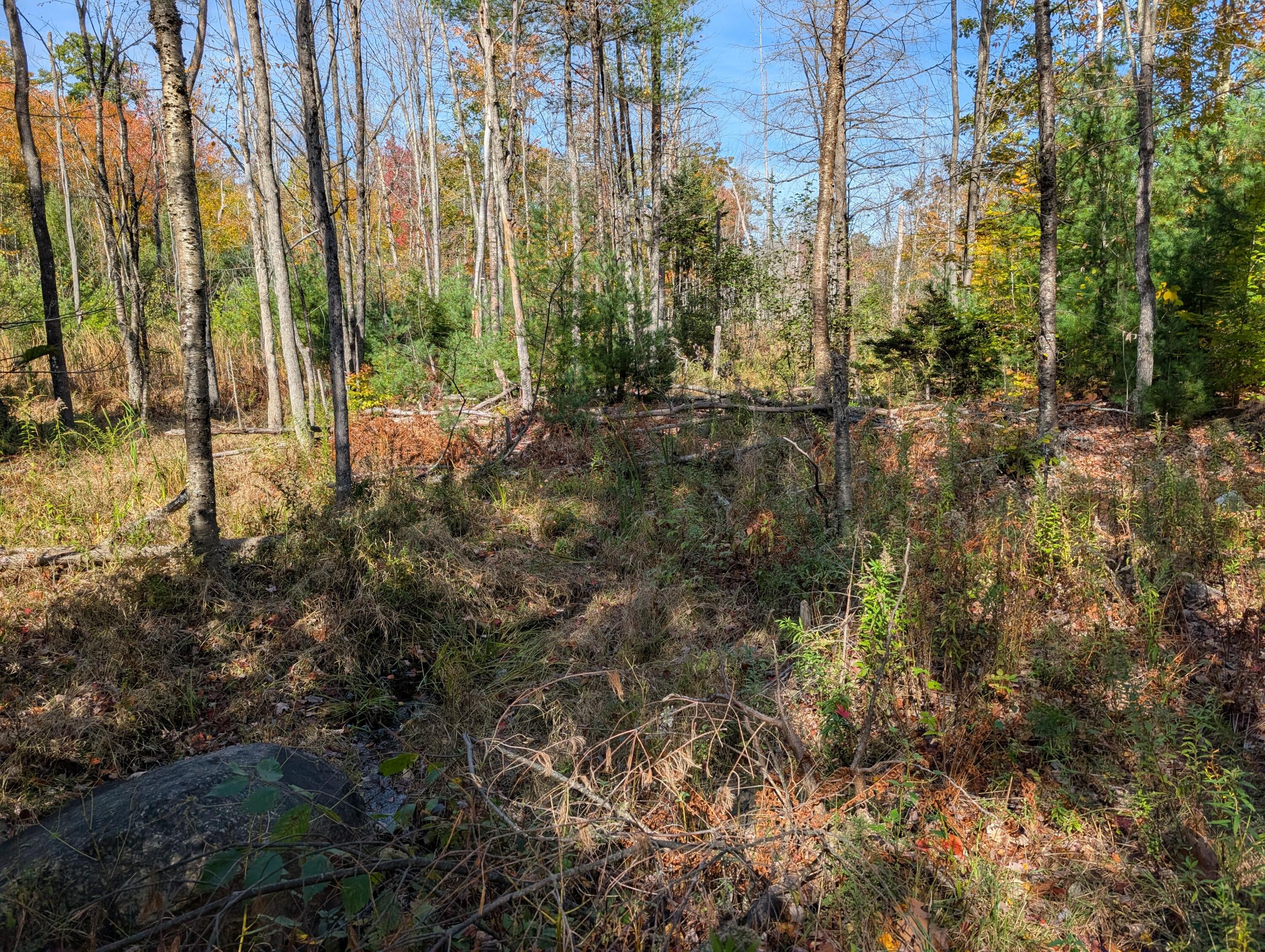 0 Gibbs Mill Road Livermore, ME 04253 - Photo 19 of 38 PXL_20251010_171553797