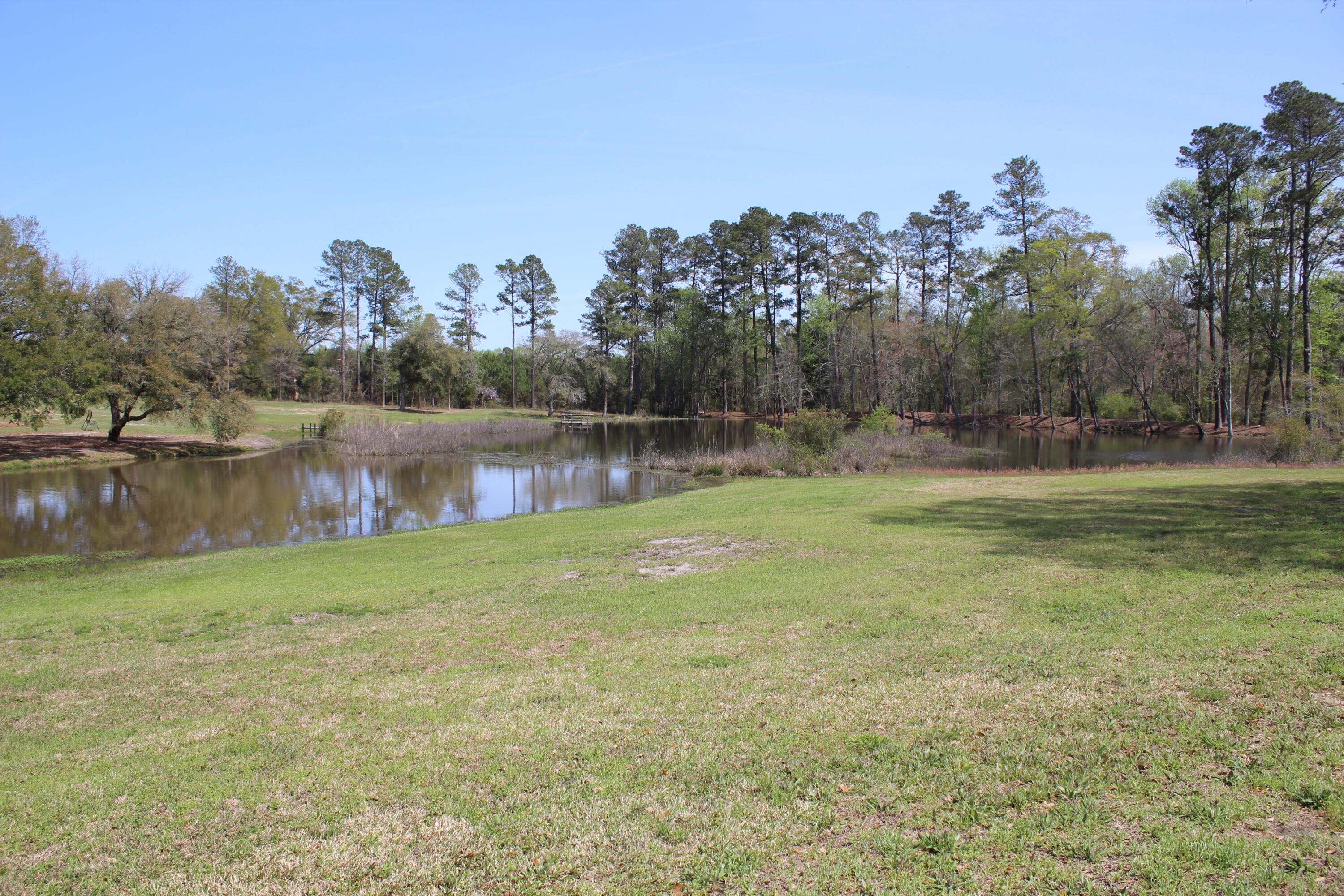145 A Raymond Road Orangeburg, SC 29118 - Photo 34 of 52 IMG_6381