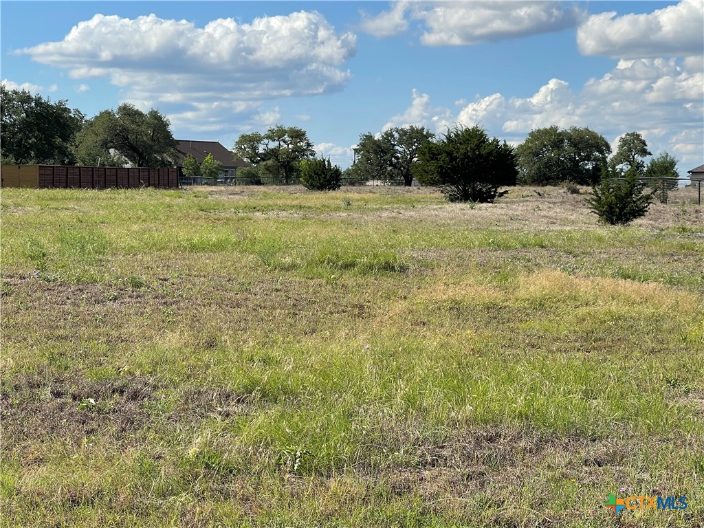Tbd Joseph Durst Blanco, TX 78606 - Photo 2 of 11 a view of a field with an trees in the background