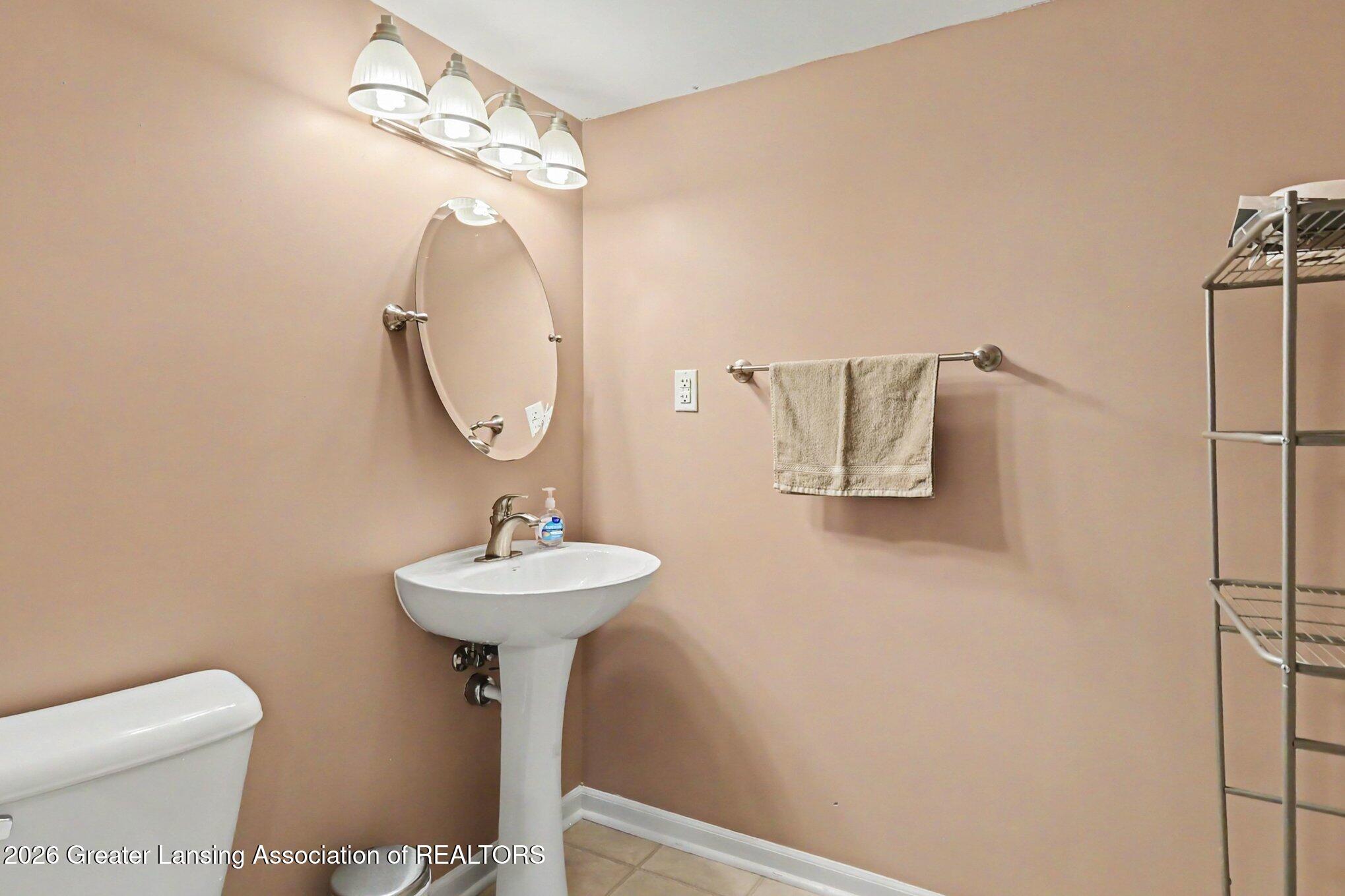 1113 Hawks Ridge Grand Ledge, MI 48837 - Photo 32 of 45 028_file_8621