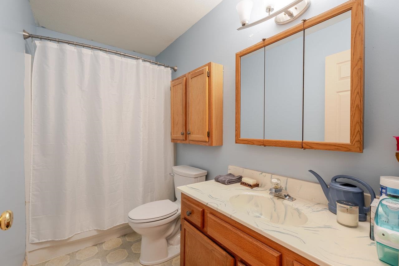 107 Orchard Road Staunton, VA 24401 - Photo 16 of 44 a bathroom with a sink a toilet and a mirror