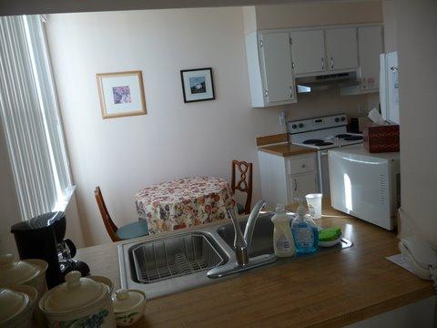 955 Dotterel Road, Unit 2511 Delray Beach, FL 33444 - Photo 6 of 18 pass through windonw