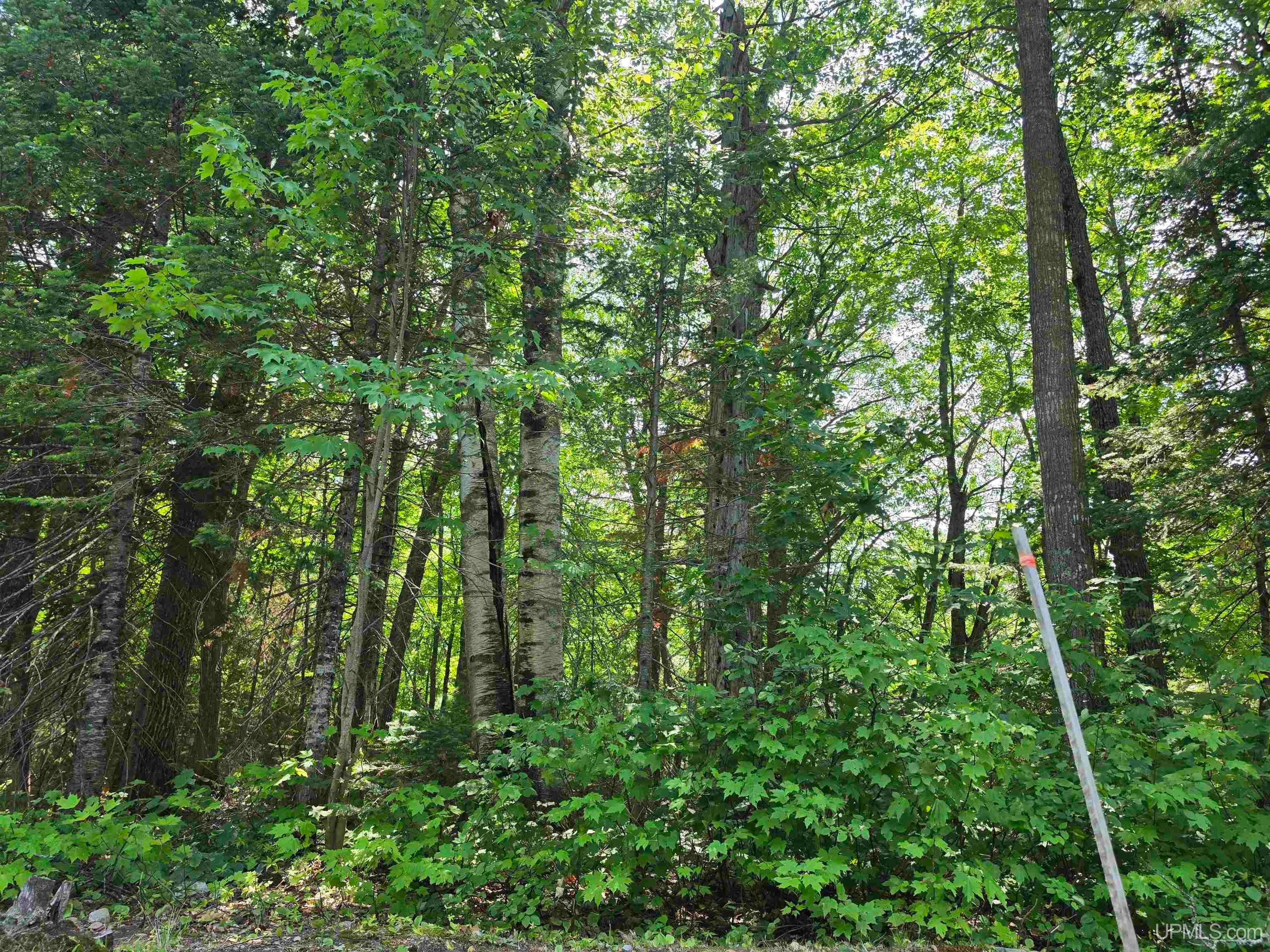 510 Rd Negaunee Mi 49866 Road Negaunee, MI 49866 - Photo 13 of 25 Gallery Image 13