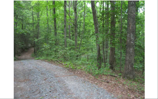 Lt30 Hemlock Trail Blue Ridge, GA 30513 - Photo 1 of 1 Main View