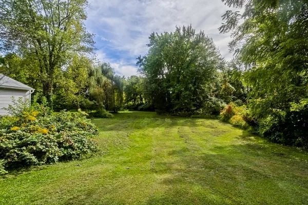 a view of yard with green space
