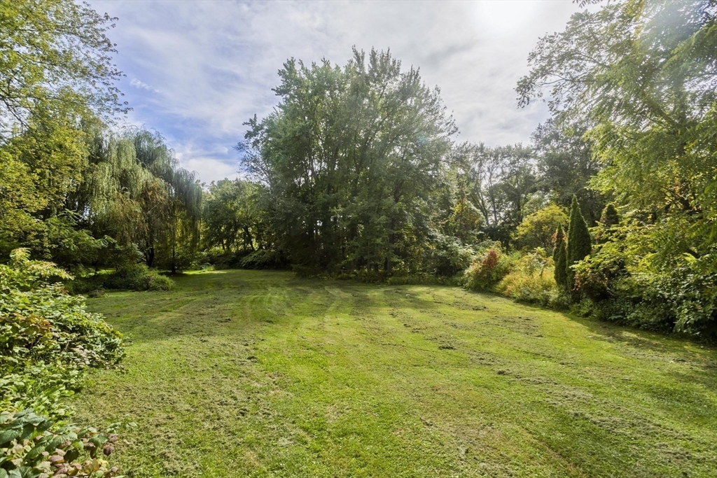 65 Verdugo Street West Springfield, MA 01089 - Photo 38 of 40 a view of outdoor space and yard