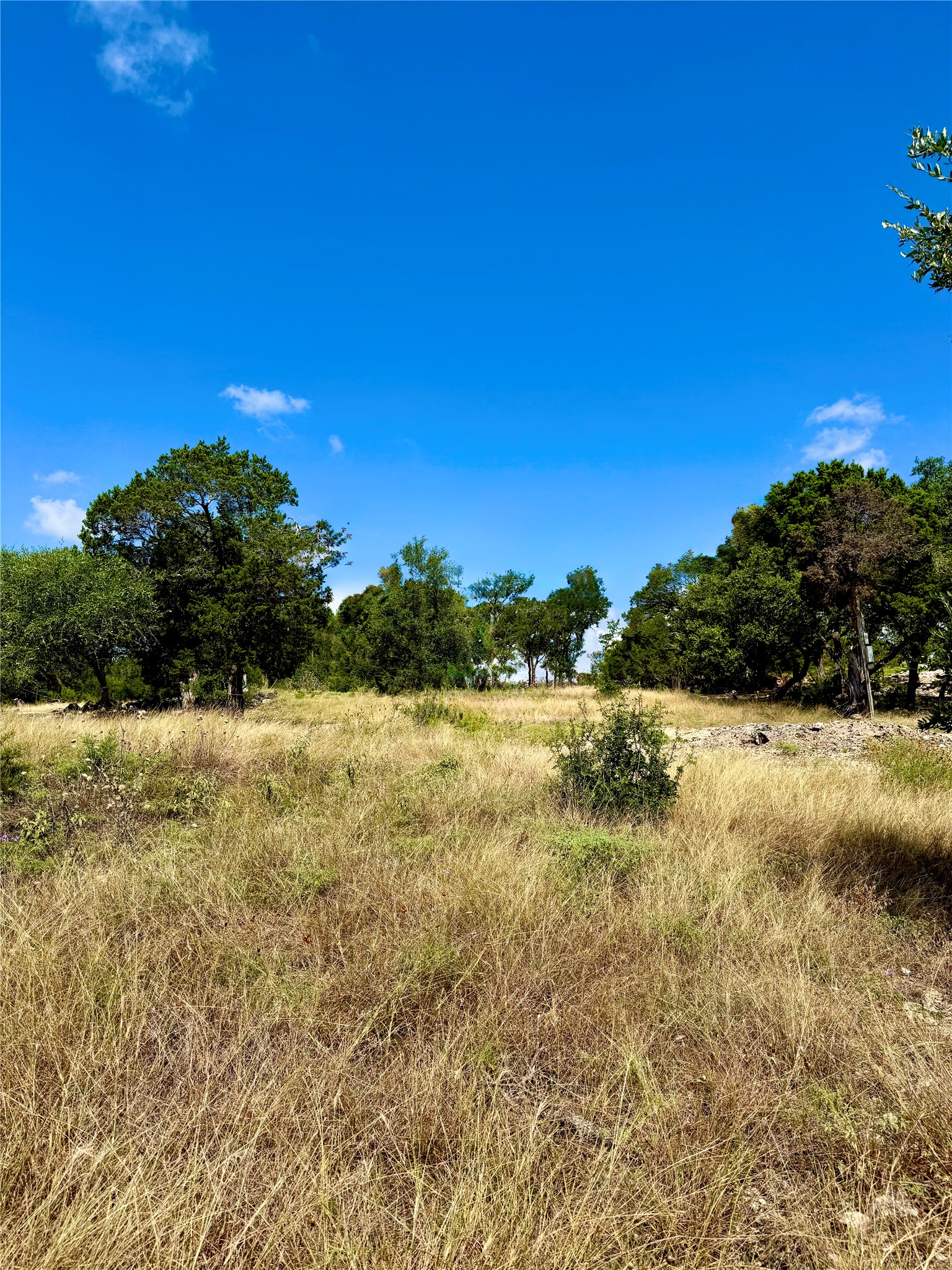 242 Landons Way Georgetown, TX 78633 - Photo 26 of 30 A spacious, undeveloped lot with natural landscaping and mature trees offers prime building potential.