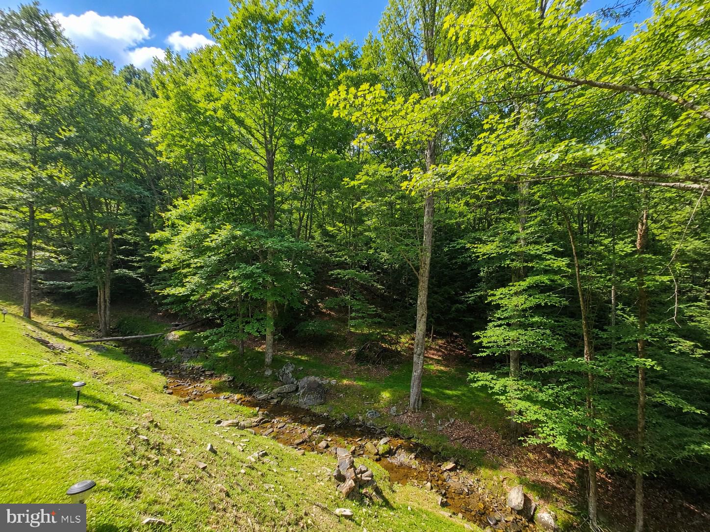 14107 Back Mountain Road Durbin, WV 26264 - Photo 52 of 59 Gallery Image 52