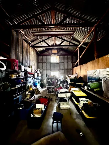 a view of dirt yard with a large tree