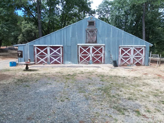 a view of a forest with trees in the background