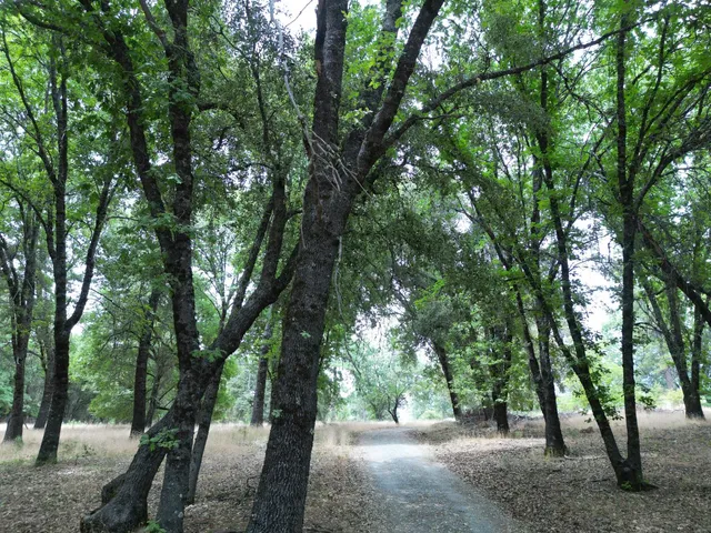 a backyard of a house with table and chairs a barbeque with wooden fence and bench