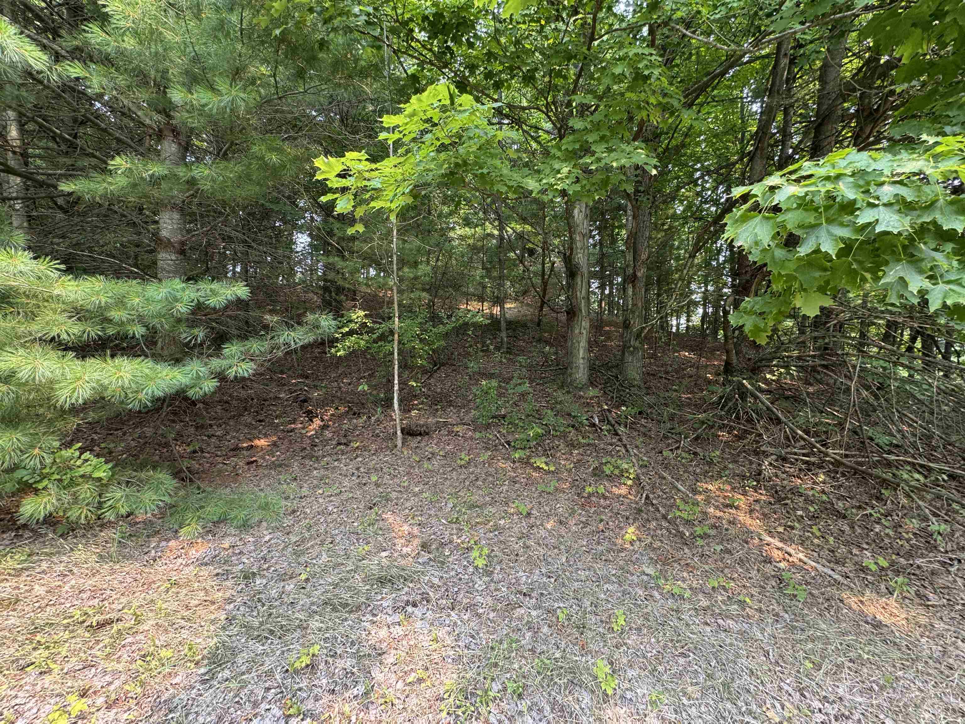Lot #4 East Bellinger Road, Unit BELLINGER ESTATES Cedar, MI 49621 - Photo 18 of 27