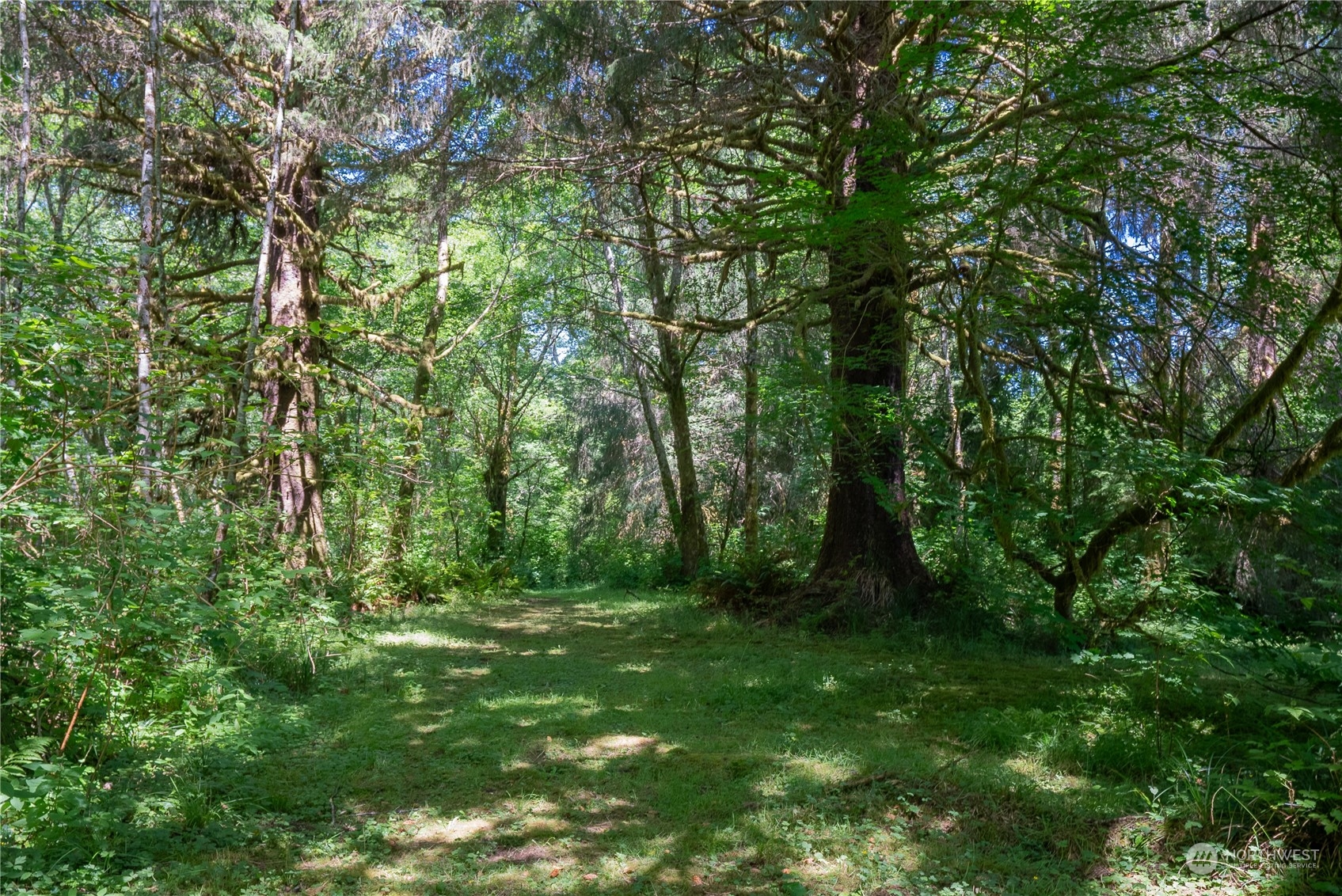 8042 La Push Road Forks, WA 98331 - Photo 33 of 38 Gallery Image 33