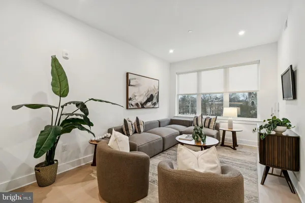 a living room with furniture flowerpot and a potted plant