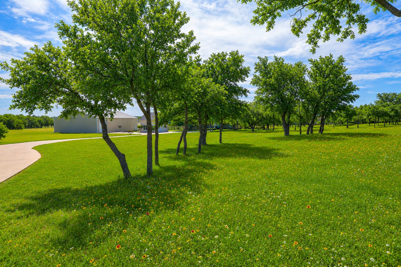 1950 County Road 245 Georgetown, TX 78633 - Photo 6 of 39 Perfect secluded driveway