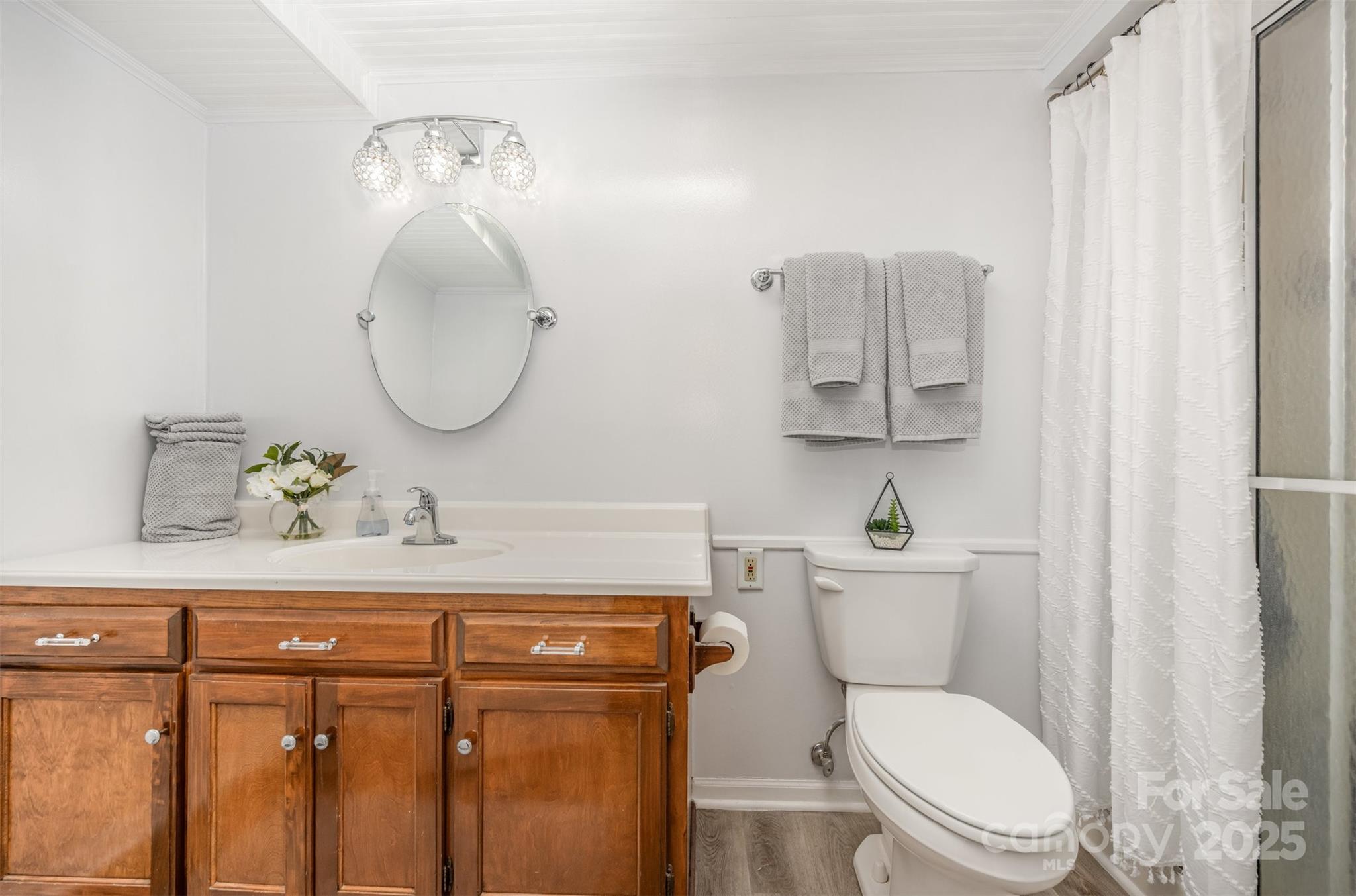1500 Beth Haven Church Road Denver, NC 28037 - Photo 19 of 35 a bathroom with a toilet a sink and mirror