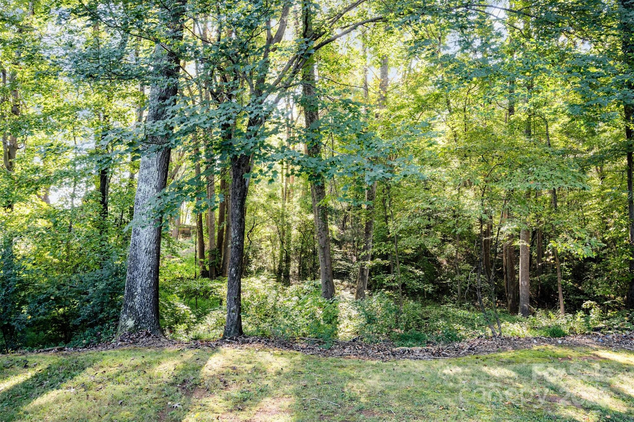 1500 Beth Haven Church Road Denver, NC 28037 - Photo 31 of 35 a view of outdoor space and trees