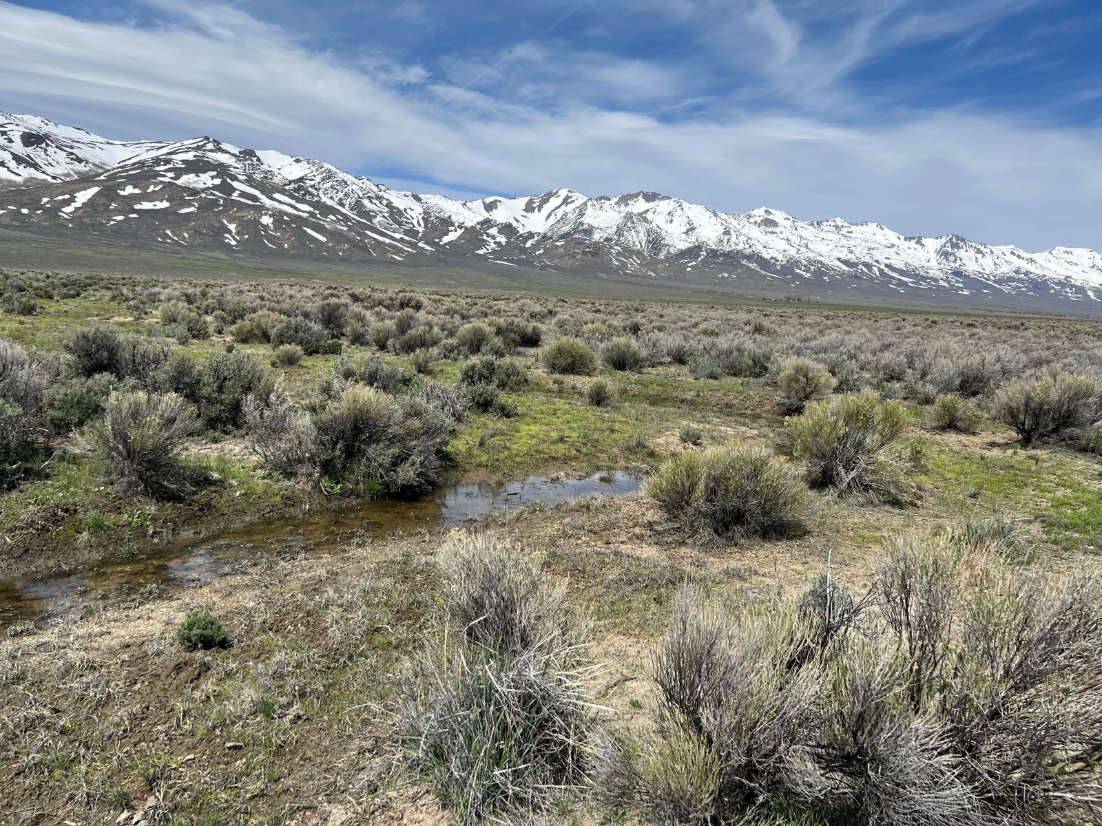 Tbd South Clover Valley Road Wells, NV 89835 - Photo 11 of 13