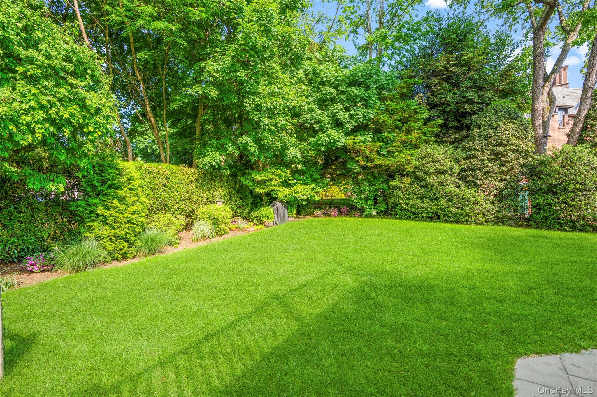 63 Rye Road Rye, NY 10580 - Photo 31 of 50 Expansive grassy area bordered by manicured hedges.