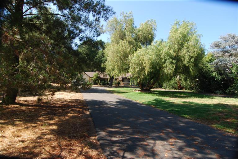 712 Cuyama Road Ojai, CA 93023 - Photo 15 of 21 a view of a tree in the middle of a yard