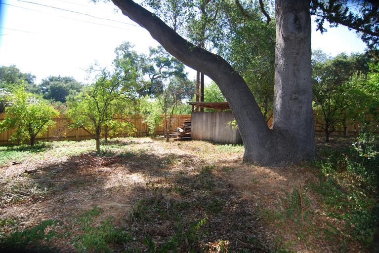 712 Cuyama Road Ojai, CA 93023 - Photo 19 of 21 a view of a yard with a tree