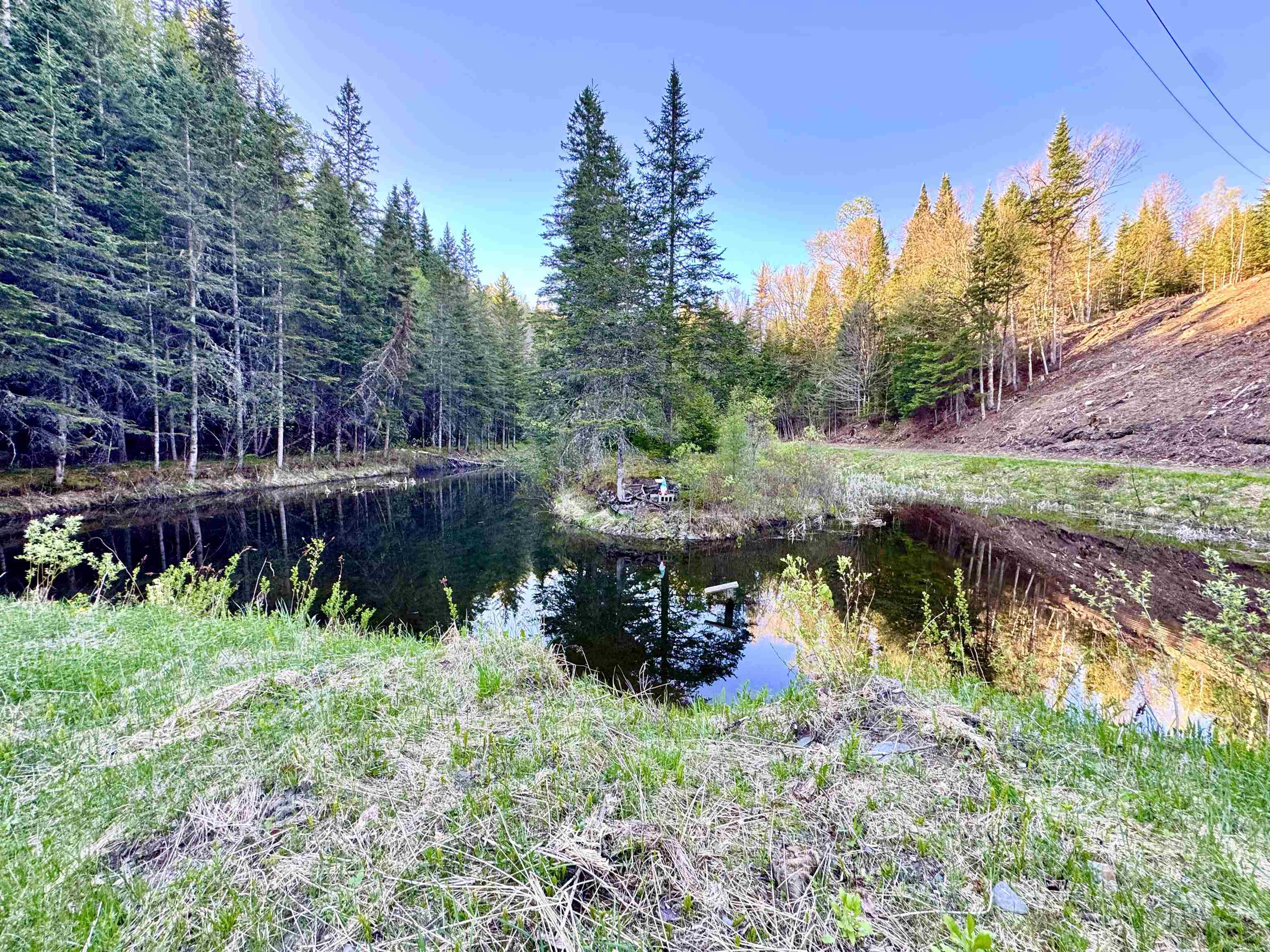 Lot 8 Gulch Brook Road Stewartstown, NH 03576 - Photo 13 of 22